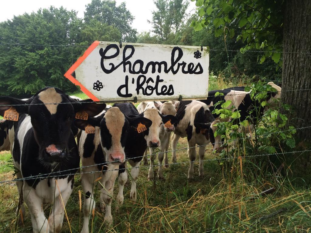 Les Chambres De Ribeaufontaine Dorengt Buitenkant foto